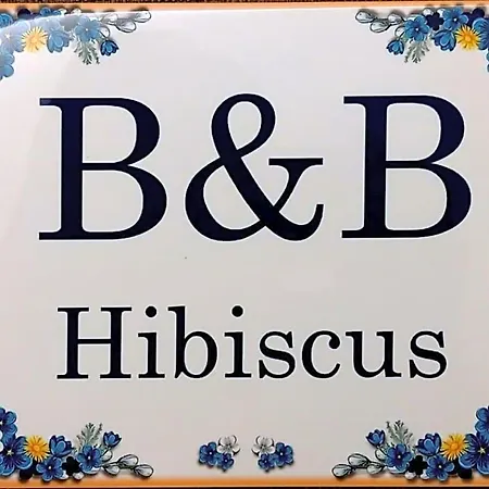 B&B Hibiscus-2